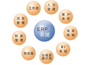 ERP软件的追加开发环节存在特殊价值