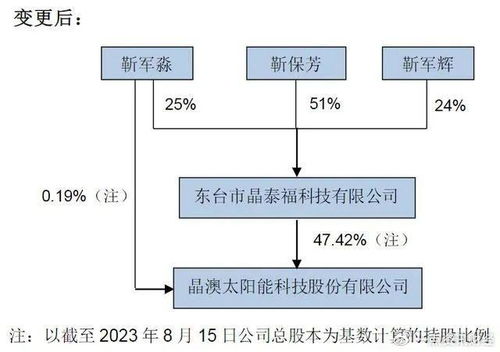 担纲新设立的商管公司,晶澳 长公主 靳军辉资本版图扩容